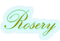 ポーセラーツ教室 埼玉