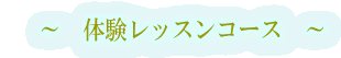 〜 体験レッスンコース 〜